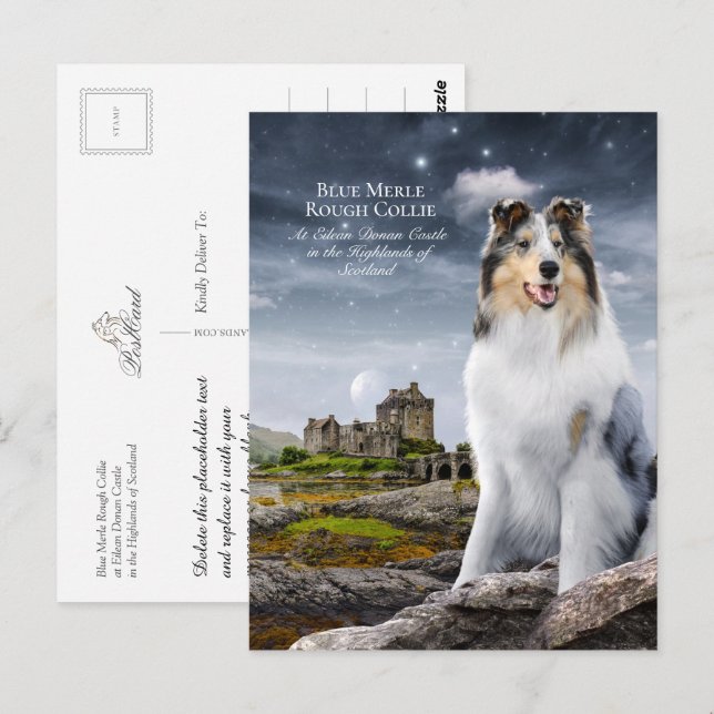 Postal Blue Merle Rough Collie en el Castillo Eilean Dona (Anverso / Reverso)