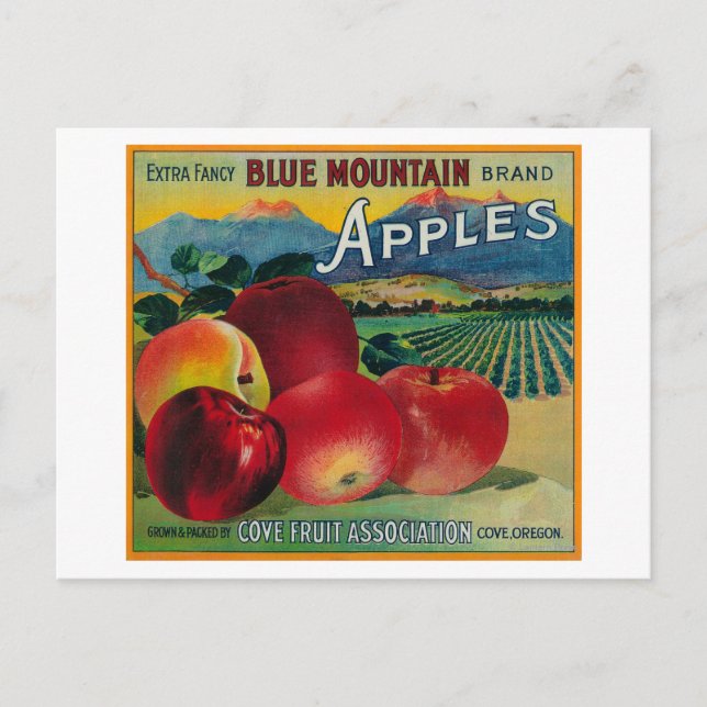 Postal Blue Mountain Apple Crate LabelCove, OR (Anverso)