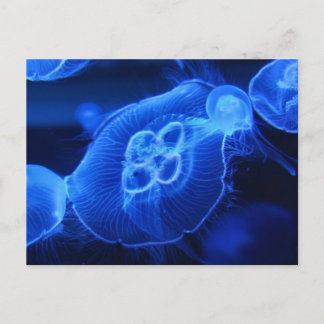 Postal Blue Neon Jellyfish