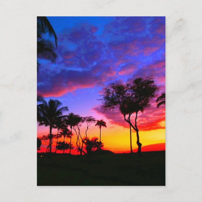 Postal Blue Red Sunset Exotic Hawaiian Beach Palm Trees (Anverso)