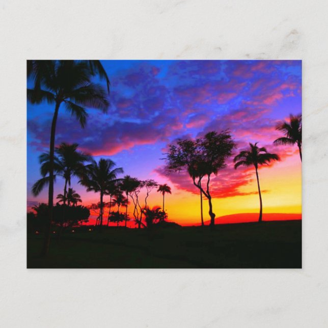 Postal Blue Red Sunset Exotic Hawaiian Beach Palm Trees (Anverso)