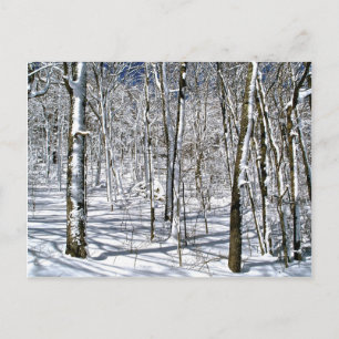 Postal Blue Ridge Mountain Magic bajo un derrame de invie