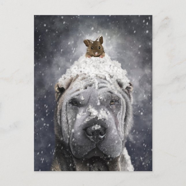 Postal Blue Shar Pei en la nieve con un pequeño ratón (Anverso)