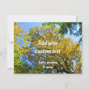 Postal Blue Sky & Autumage Foliage - Personalizado