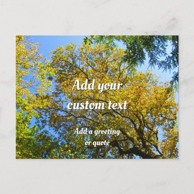 Postal Blue Sky & Autumage Foliage - Personalizado (Anverso)