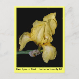 Postal Blue Spruce Park Indiana County PA