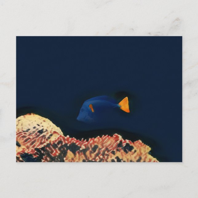 Postal Blue Tang Fish (Anverso)