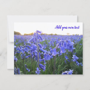 Postal Bluebells de la hora de oro - Personalizado