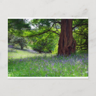 Postal Bluebells en inglés