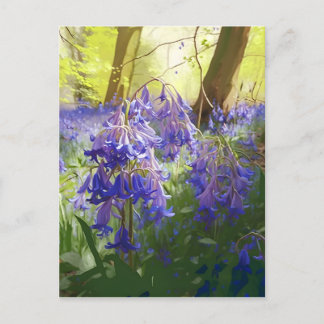 Postal Bluebells en la mañana