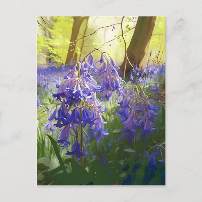 Postal Bluebells en la mañana (Anverso)