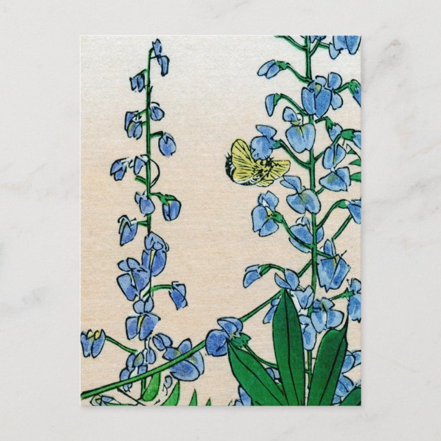 Postal Bluebells no.2 (Anverso)