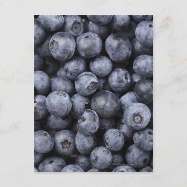 Postal Blueberries (Anverso)