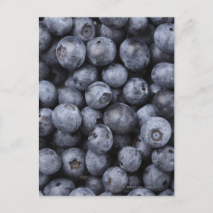 Postal Blueberries