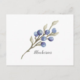 Postal Blueberries en rama