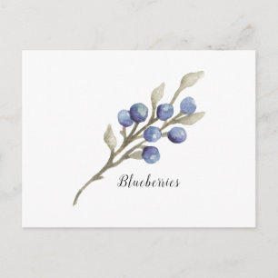 Postal Blueberries en rama