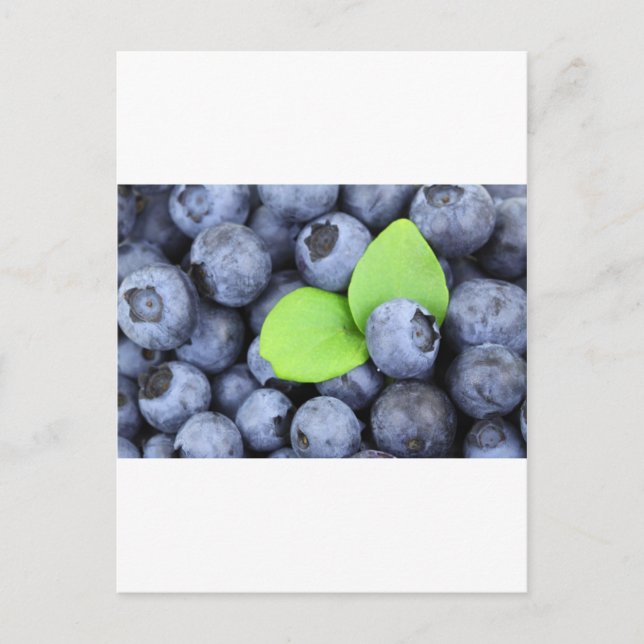 POSTAL BLUEBERRY (Anverso)