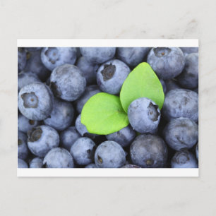 POSTAL BLUEBERRY