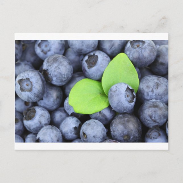 POSTAL BLUEBERRY (Anverso)
