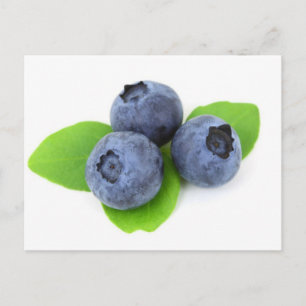 Postal Blueberry