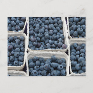 Postal Blueberry Crates