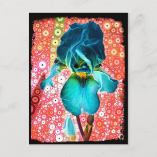 Postal Blueberry Iris Postcard