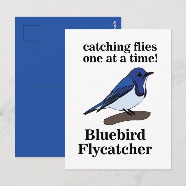 Postal Bluebird Bird Lover Funny (Anverso / Reverso)