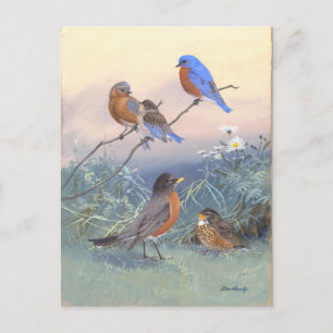 Postal Bluebird y Robin Vintage