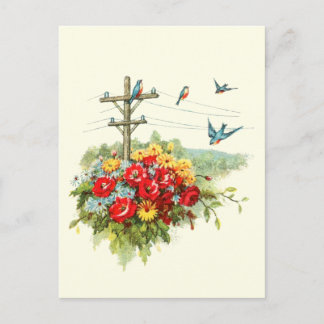 Postal Bluebirds en línea eléctrica