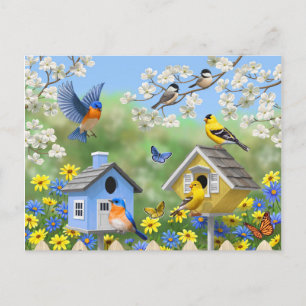 Postal Bluebirds Goldfinches Birdhouses Flower Garden