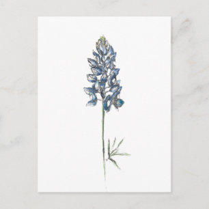 Postal Bluebonnet