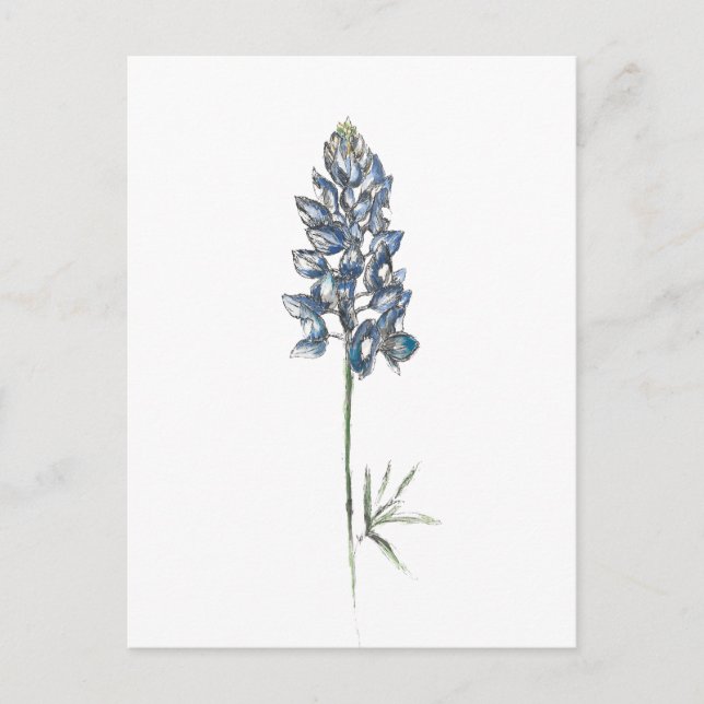 Postal Bluebonnet (Anverso)