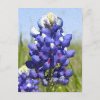 Postal Bluebonnet "pintado"