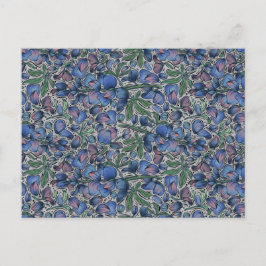 Postal Bluebonnet Postcard