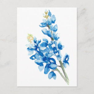 Postal Bluebonnets de color agua