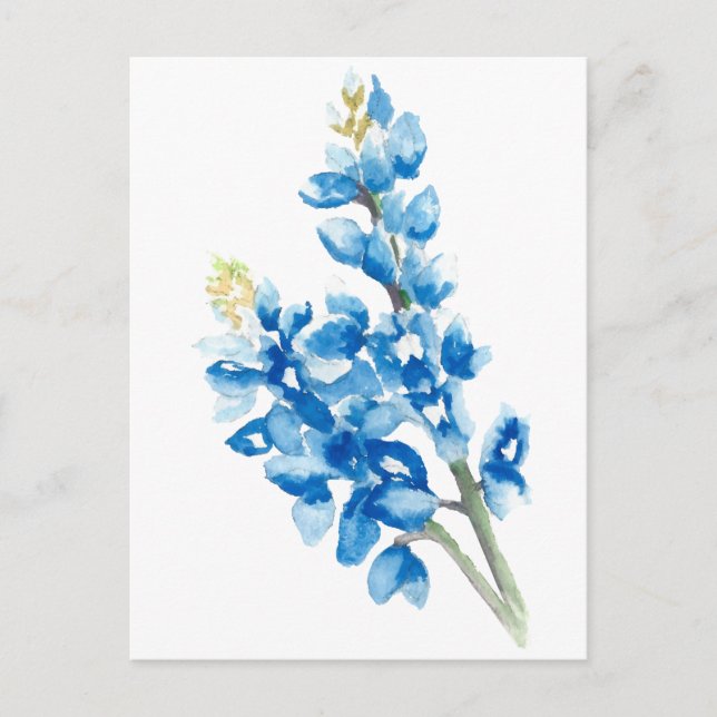 Postal Bluebonnets de color agua (Anverso)