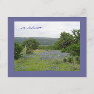Postal Bluebonnets en Tejas