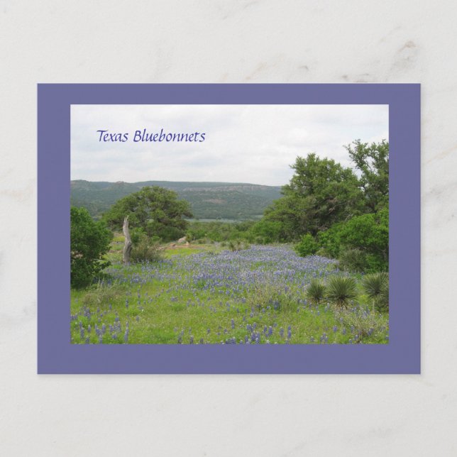 Postal Bluebonnets en Tejas (Anverso)
