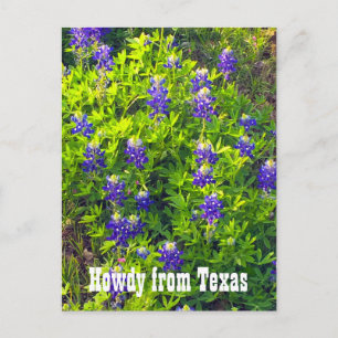 Postal Bluebonnets Howdy desde Texas Wildflowers Photo