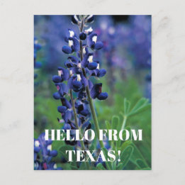 Postal Bluebonnets Texas Flor azul Floral Lupina