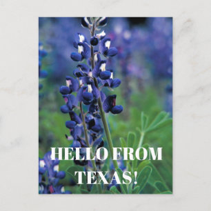 Postal Bluebonnets Texas Flor azul Floral Lupina