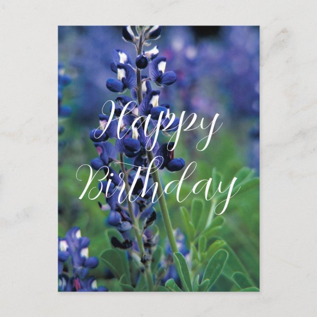 Postal Bluebonnets Texas Flower Blue Birday (Anverso)