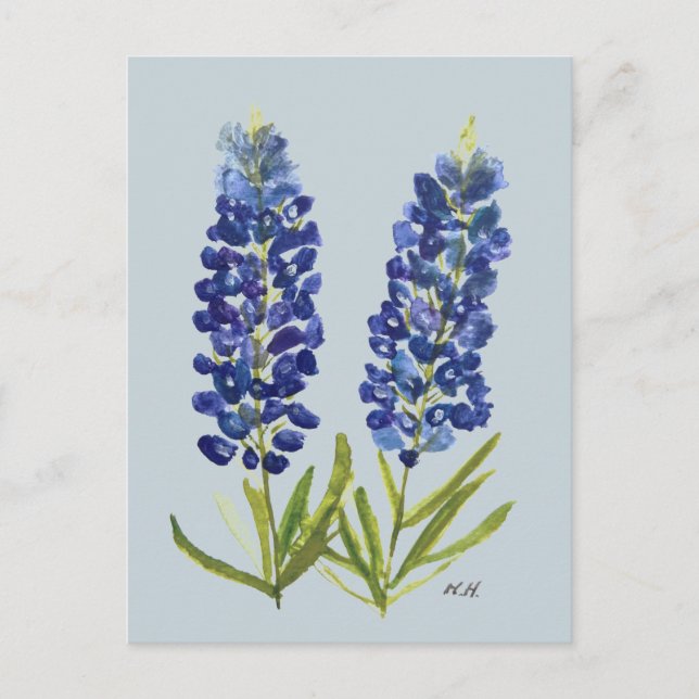 Postal Bluebonnets Texas State Flowe Lupine Watercolor (Anverso)