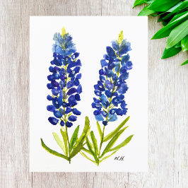 Postal Bluebonnets Texas State Flowe Lupine Watercolor