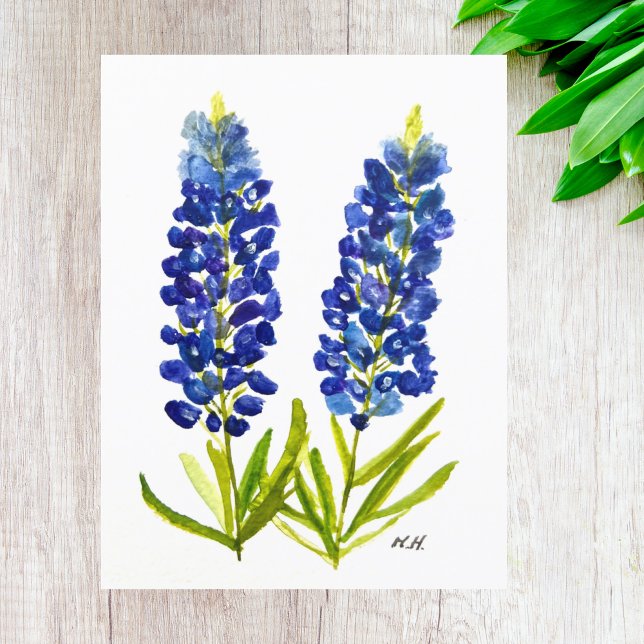 Postal Bluebonnets Texas State Flowe Lupine Watercolor (Subido por el creador)