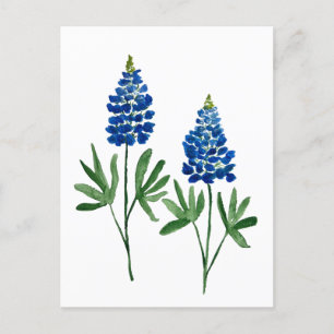 Postal Bluebonnets Texas State Flowe Lupine Watercolor