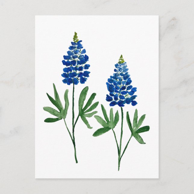 Postal Bluebonnets Texas State Flowe Lupine Watercolor (Anverso)