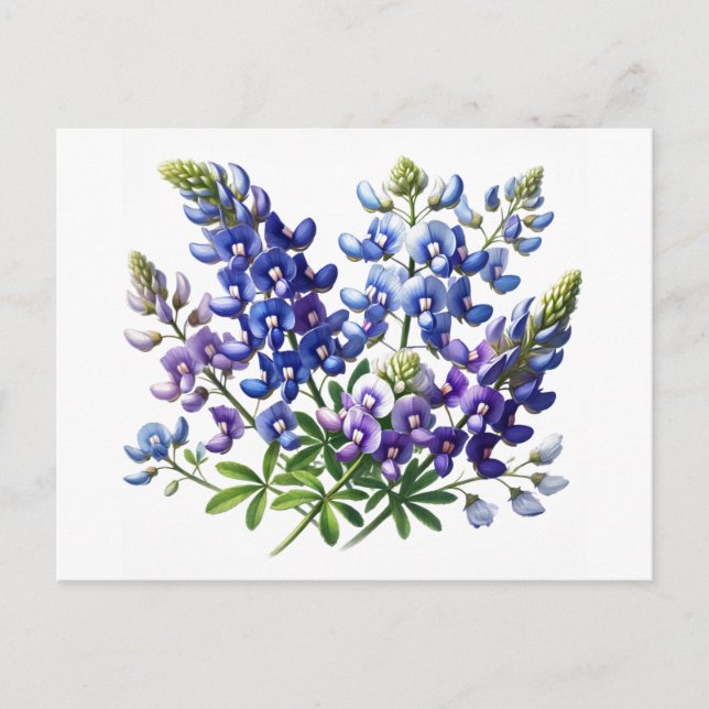 Postal Bluebonnets Texas State Flowe Lupine Watercolor (Anverso)