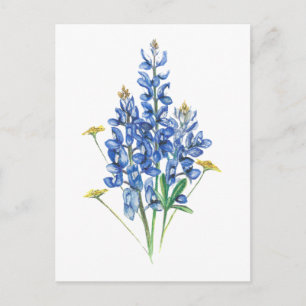 Postal Bluebonnets y Wildflowers