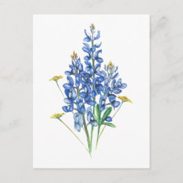 Postal Bluebonnets y Wildflowers